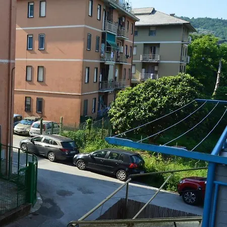 Davidhouse Pineta Rapallo